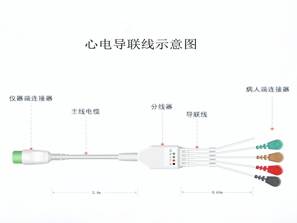 茄子免费视频心电导联线